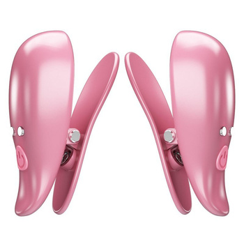 Pretty Love Cayley Wibrujące Klamerki na Sutki Sterowane Pilotem