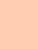L´Oréal Paris True Match 2N Vanilla Korektor 6,8 ml