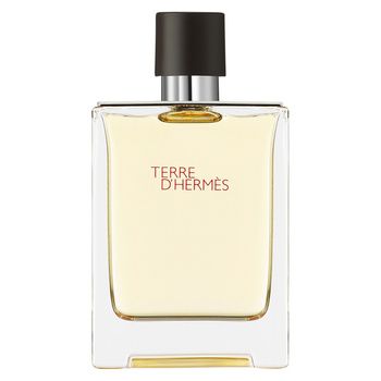 Hermes Terre D'Hermes Woda Toaletowa 100 ml
