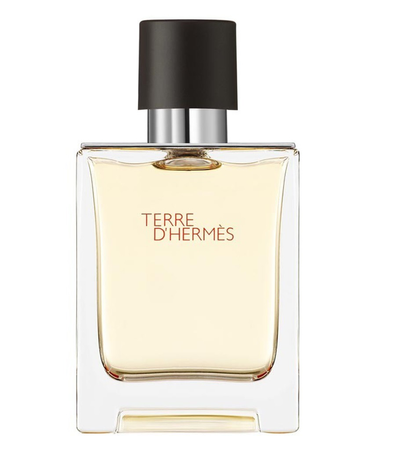 Hermes Terre D'Hermes Woda Toaletowa 100 ml