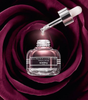 Sisley Black Rose Precious Face Oil Olejek Wygładzajacy i Rewitalizujacy 25 ml