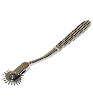 Lola Games Wheel Party Hard Please Me