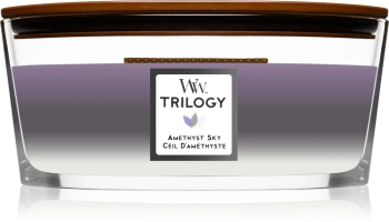 WoodWick Amethyst Sky Świeca Zapachowa 453,6 g